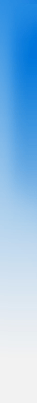 Online Bingo Gambling